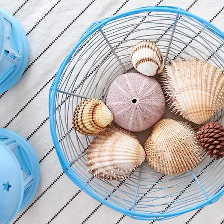 Zhouse - Your House *