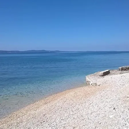 Zhouse - Your House * 佩特坎内