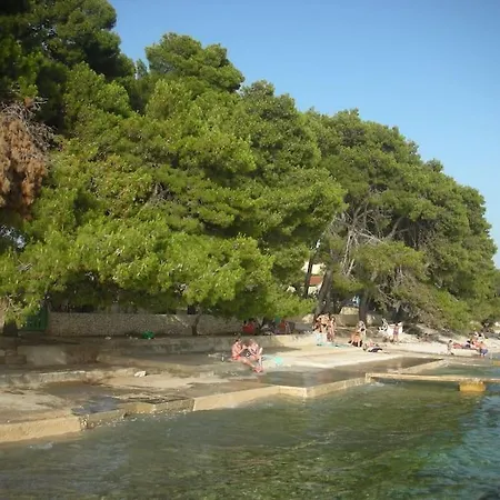 Zhouse - Your House * 佩特坎内