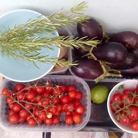 Zhouse - Your House *