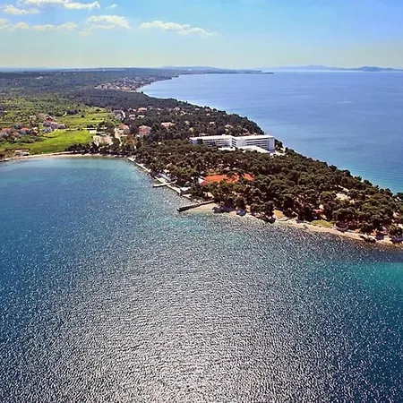 Zhouse - Your House 佩特坎内