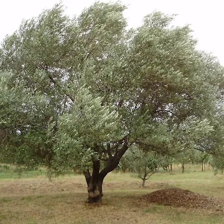 别墅 Zhouse - Your House